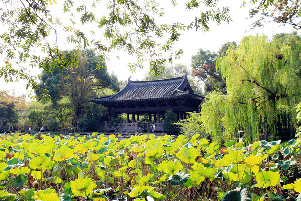 紹興景點(diǎn)圖片 紹興景點(diǎn)圖片